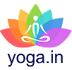Acro Yoga Institute